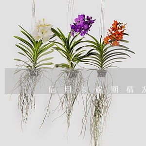 信用卡逾期情况查询