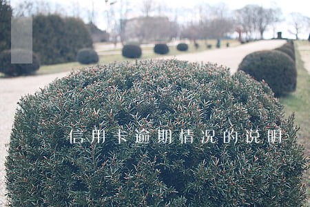 信用卡逾期情况的说明 信用卡逾期情况的说明