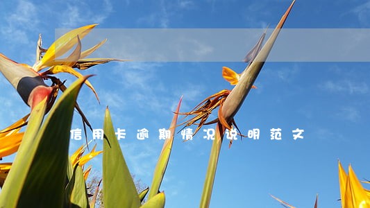 信用卡逾期情况说明范文