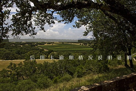 信用卡逾期情况说明证明怎么开 信用卡逾期情况说明证明怎么开
