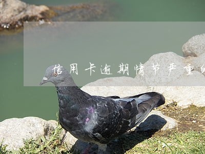 信用卡逾期情节严重的案例