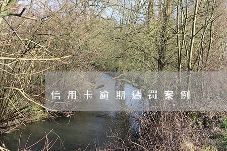 信用卡逾期惩罚案例