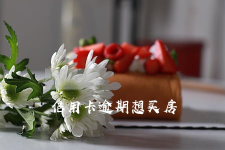 信用卡逾期想买房 信用卡逾期想买房