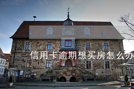 信用卡逾期想买房怎么办 信用卡逾期想买房怎么办