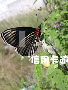 信用卡逾期想免利息如何谈判 信用卡逾期想免利息如何谈判