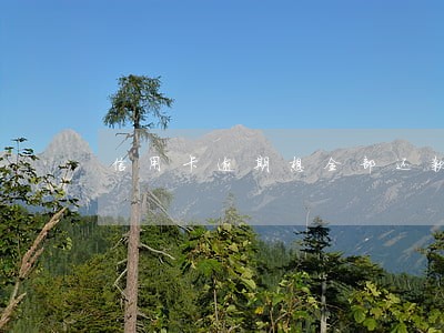 信用卡逾期想全部还款 信用卡逾期想全部还款