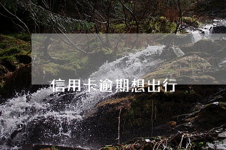 信用卡逾期想出行