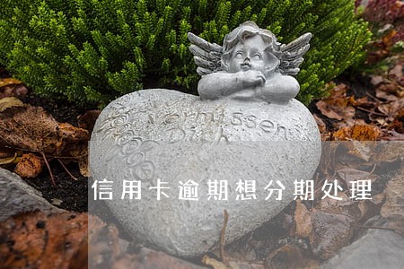 信用卡逾期想分期处理 信用卡逾期想分期处理