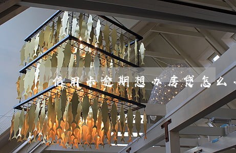 信用卡逾期想办房贷怎么办 信用卡逾期想办房贷怎么办