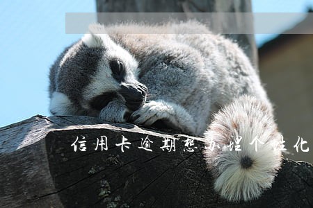 信用卡逾期想办理个性化分期