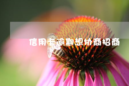 信用卡逾期想协商招商 信用卡逾期想协商招商