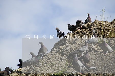 信用卡逾期想协商还款 信用卡逾期想协商还款