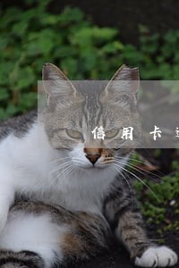 信用卡逾期想找法律援助 信用卡逾期想找法律援助