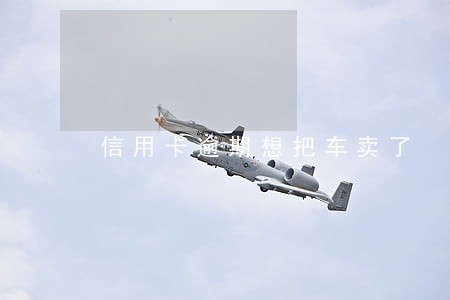 信用卡逾期想把车卖了 信用卡逾期想把车卖了