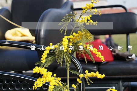 信用卡逾期想死的心都有了 信用卡逾期想死的心都有了