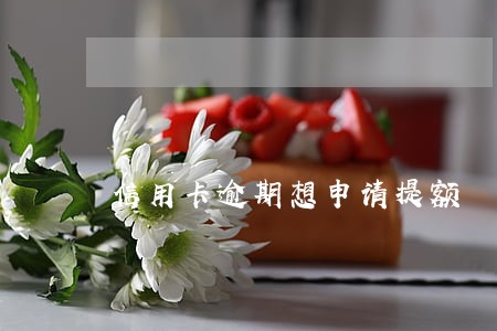 信用卡逾期想申请提额 信用卡逾期想申请提额