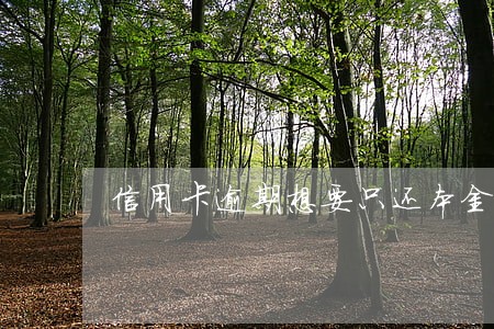 信用卡逾期想要只还本金 信用卡逾期想要只还本金