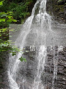 信用卡逾期想要补救试试这几招 信用卡逾期想要补救试试这几招