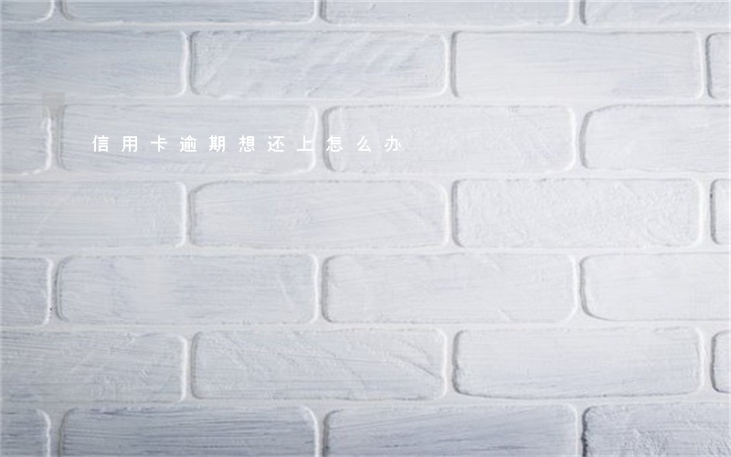信用卡逾期想还上怎么办 信用卡逾期想还上怎么办