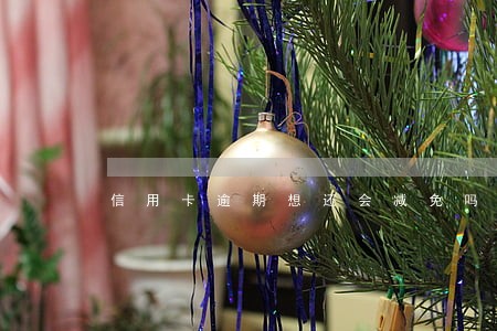 信用卡逾期想还会减免吗 信用卡逾期想还会减免吗