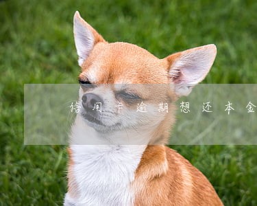 信用卡逾期想还本金怎么操作 信用卡逾期想还本金怎么操作