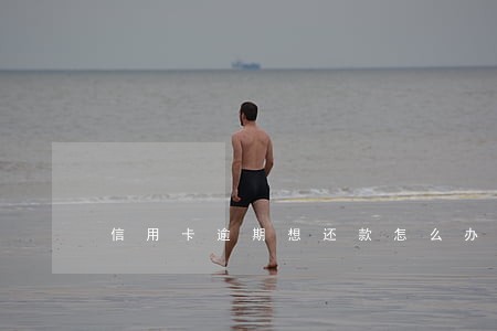 信用卡逾期想还款怎么办 信用卡逾期想还款怎么办