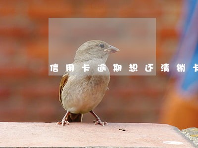 信用卡逾期想还清销卡 信用卡逾期想还清销卡
