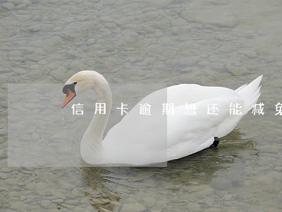 信用卡逾期想还能减免利息吗
