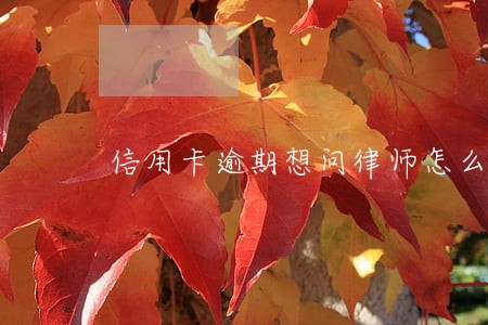 信用卡逾期想问律师怎么办 信用卡逾期想问律师怎么办