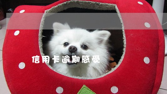 信用卡逾期感受 信用卡逾期感受