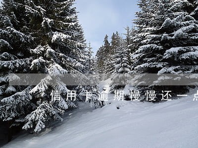 信用卡逾期慢慢还一点