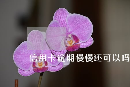 信用卡逾期慢慢还可以吗 信用卡逾期慢慢还可以吗