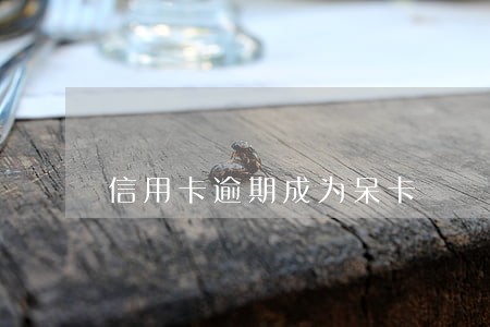 信用卡逾期成为呆卡