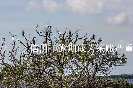 信用卡逾期成为呆账严重吗