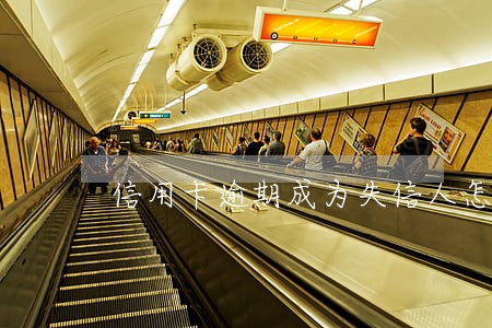 信用卡逾期成为失信人怎么办