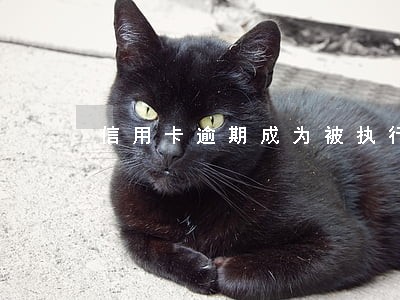 信用卡逾期成为被执行人 信用卡逾期成为被执行人