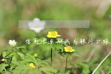 信用卡逾期成为银行坏账 信用卡逾期成为银行坏账