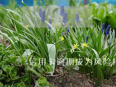信用卡逾期成为风险持卡人 信用卡逾期成为风险持卡人