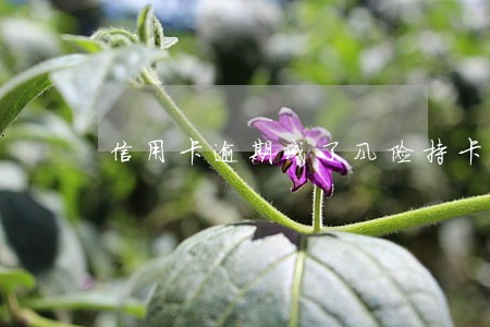 信用卡逾期成了风险持卡人