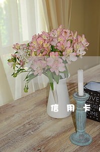 信用卡逾期成全国逃犯 信用卡逾期成全国逃犯