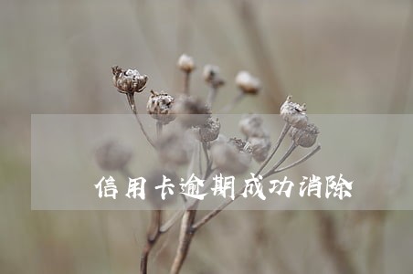 信用卡逾期成功消除
