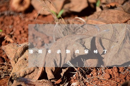 信用卡逾期成呆帐了 信用卡逾期成呆帐了