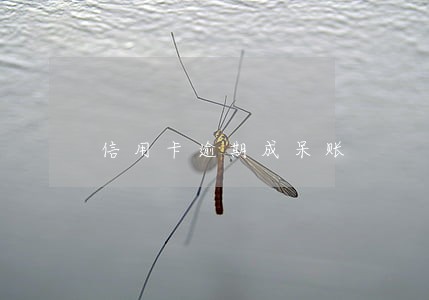 信用卡逾期成呆账 信用卡逾期成呆账