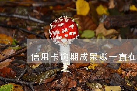 信用卡逾期成呆账一直在保持还款 信用卡逾期成呆账一直在保持还款