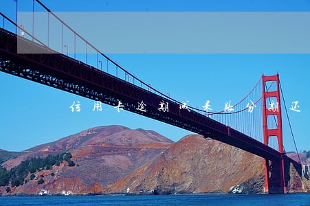 信用卡逾期成呆账分期还