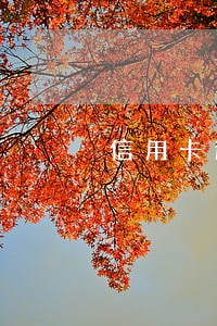 信用卡逾期成呆账处理