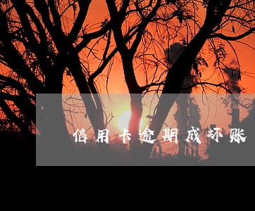 信用卡逾期成坏账 信用卡逾期成坏账