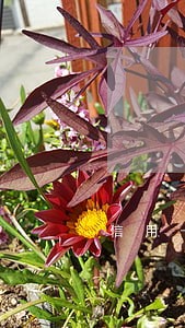 信用卡逾期成坏账一年多 信用卡逾期成坏账一年多