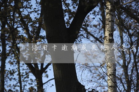 信用卡逾期成失信人怎么办 信用卡逾期成失信人怎么办