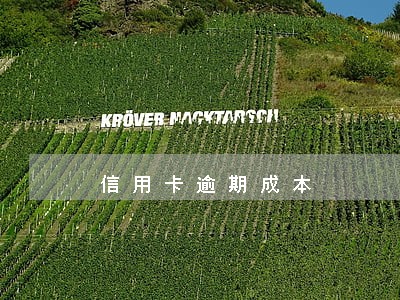 信用卡逾期成本 信用卡逾期成本